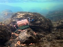 Delphin Krmítko S Olovenou Záťažou RiverSTIX (6)