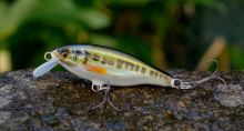 3Stan Wobler Belly Minnow BM40 H-MN 4 cm 2,8 g (1)