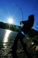 Imperial Baits Prút Max Nollert Temptation MK3 3,66 m (12 ft) 2,75-3,25 lb (3)