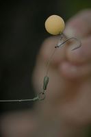 One More Cast Náväzec Chods Away Long (5)