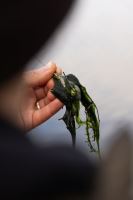 Korda Olovo pre Mapovanie Dna Grapple Lead 2 ks (7)