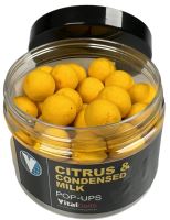 Vitalbaits Pop-Up Citrus & Condensed Milk Yellow (1)