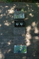 Zebco Udiareň Magic Fish Smoker Two Burner (9)