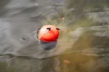 Korum Plávajúce Kŕmidlo Floating Feeder (9)