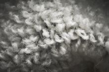 Geoff Anderson Ponožky WizWool Heavy Weight Sivé (3)