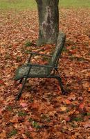 Mivardi Kreslo CamoCode Express (10)