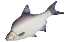 Gaby Plyšová Ryba Pleskáč Veľký Mini 35 cm Gaby Plyšová Ryba Pleskáč Veľký Mini 35 cm