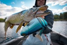 Fox Rage Gumová Nástraha Jointed Replicants Blue Shiner UV (5)