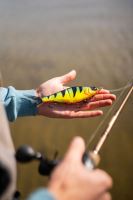 Berkley Gumená Nástraha Powerbait Chop Block Albino Trout (1)