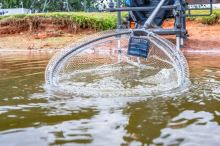 Preston Innovations Podberáková hlava Carbon Euro Match Landing Net (2)