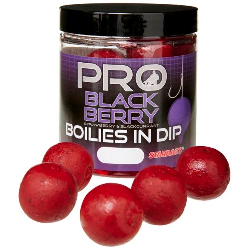 Starbaits Boilies In Dip Probiotic Blackberry 150 g