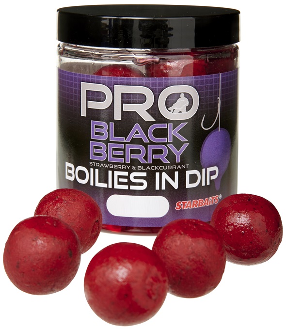 E-shop Starbaits boilies in dip probiotic blackberry 150 g - 24 mm