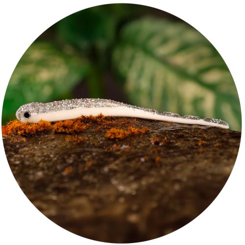 Redbass Smáčik Big Snake White G - 15,5 cm 11 g