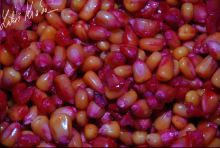 LK Baits Nakladaná Kukurica 1,5 kg (2)