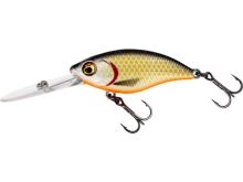 Westin Vobler Buzzbite Dr Crankbait Official Roach 6,5 cm Westin Vobler Buzzbite Dr Crankbait Official Roach 6,5 cm