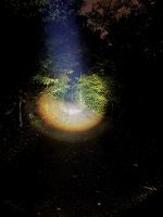 Holdcarp Čelovka Zoomable Sensor Headlamp (8)