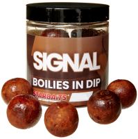 Starbaits Boilies In Dip Concept Signal 150 g - 20 mm