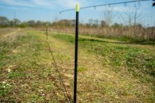 RidgeMonkey Dištančné Vidličky Nite Glo Wrap Sticks (14)