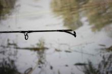 Sportex Prút TW Spin 2,75 m 120-210 g (9)