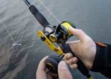 Black Cat Multiplikátor Battle Cat Vertical (10)