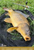 ČRS Nástenný Rybársky Kalendár Na Rok 2024 (7)