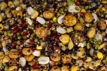 My-Baits Partikel Party Mix "High Impact" 2 l (1)