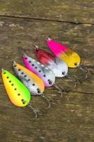 Zebco Plandávka Demonic Predator Spoon Set 20 g 5 ks (3)
