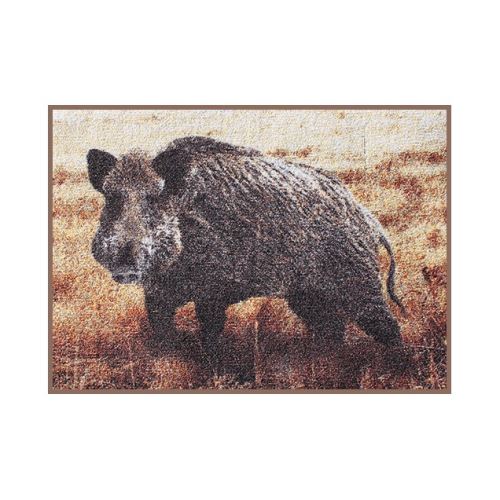 Delphin Rohož 3D Diviak