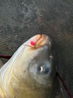 Benzar Mix Vyvážená Nástraha Concourse Bullet Wafter 7 mm (4)