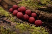 Nikl Hotové Boilie Attractive Gigantica (1)