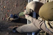 Fortis Termoprádlo Spodné Elements Base Layer Bootoms (1)