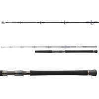 Daiwa Prút Saltiga Jigging 1,7 m 150-300 g (1)