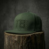 TB Baits Šiltovka Snapback 3D Logo Green (3)