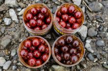 Carp Inferno Boosted Boilies Hot Line Xtazi 300 ml 20 mm (1)