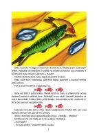 Kniha Kaprík Metlík útek (2)