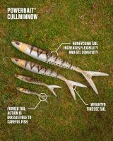Berkley Gumová Návnada Powerbait Cullminnow Sparkle Ayu (9)