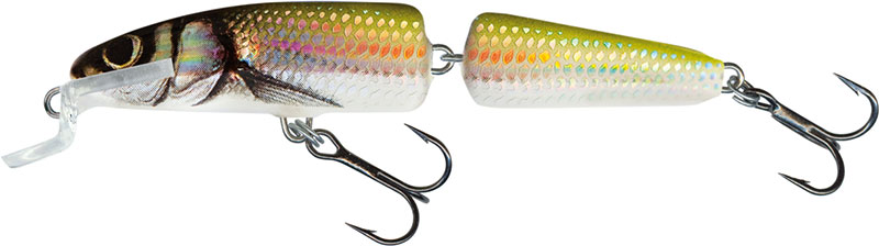 Salmo wobler fanatic floating holo bleak - 7 cm