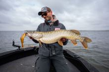 Berkley Gumená Nástraha Powerbait Chop Block Albino Trout (5)