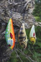 Salmo Wobler Fatso Sinking Holo Tiger (5)