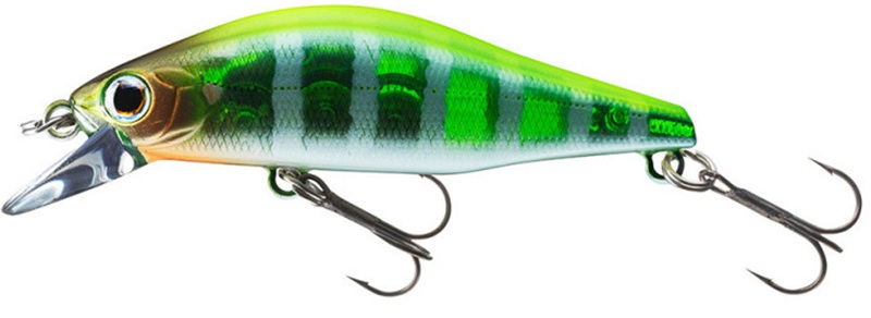 E-shop Daiwa wobler tournament wise minnow chart back zebra - 5 cm 5,2 g