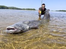 Black Cat Prút Perfect Passion Allstar Cast 2,2 m 30-130 g (7)