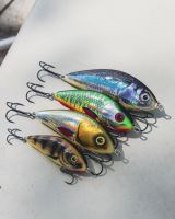 Salmo Wobler Fatso Sinking Holo Tiger (6)