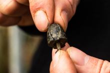 Fox Back Lead Removable Flying Back Weights 10 g 5 ks (6)