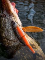 Berkley Gumová Nástraha PowerBait Nessie Firetiger (8)