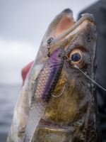 Berkley Gumová Nástraha PowerBait Cullshad Shallow Sinking Firetiger (9)