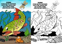 ČRS Rybárske Omaľovánky (6)