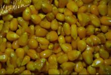 LK Baits Nakladaná Kukurica 1,5 kg (3)