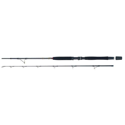 WFT Prút Go North II 2,1 m 20 lb 100-400 g