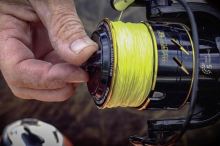 Black Cat Navijak Passion FD 50 (7)