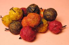 Chytil rohlíkové boilies 40g 14mm (2)